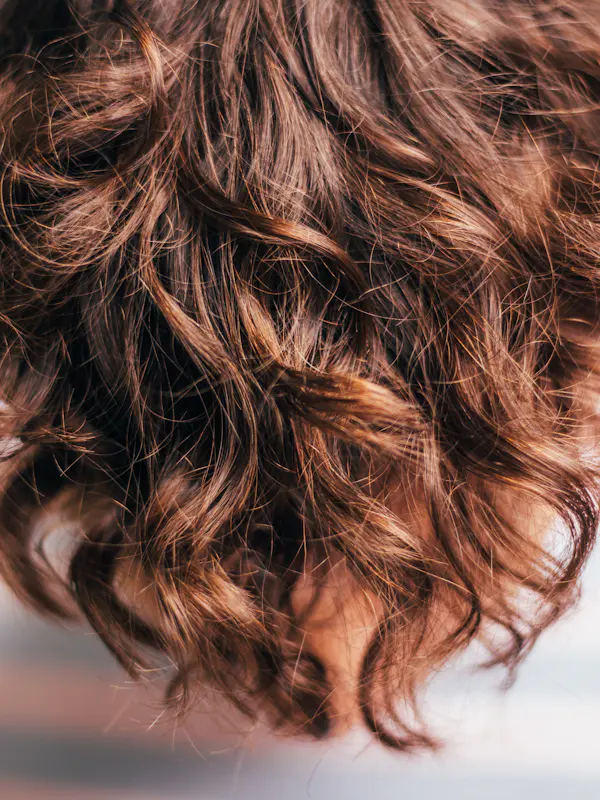 Close-up of glossy brown curls